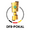 League DFB Pokal Icon