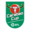 League Carabao Cup Icon 