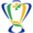 League Copa do Brasil Icon 