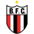 Botafogo SP Logo