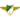 Moreirense Logo
