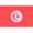 Tunisia logo