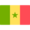 Senegal logo