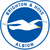 Brighton & Hove Albion Logo